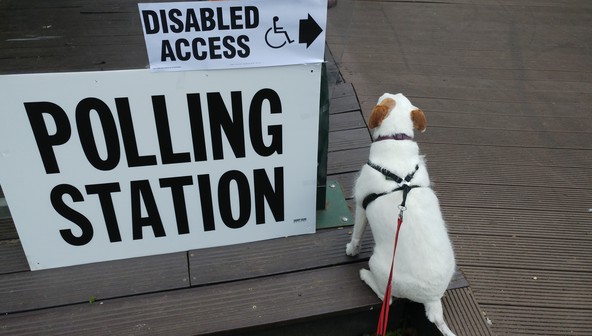 shy pepper polling station